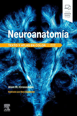 Neuroanatomía