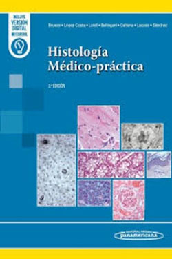 Histología Médico - Práctica